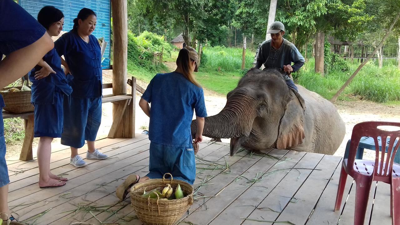 Mahout Hotel Луанг Прабанг Екстериор снимка