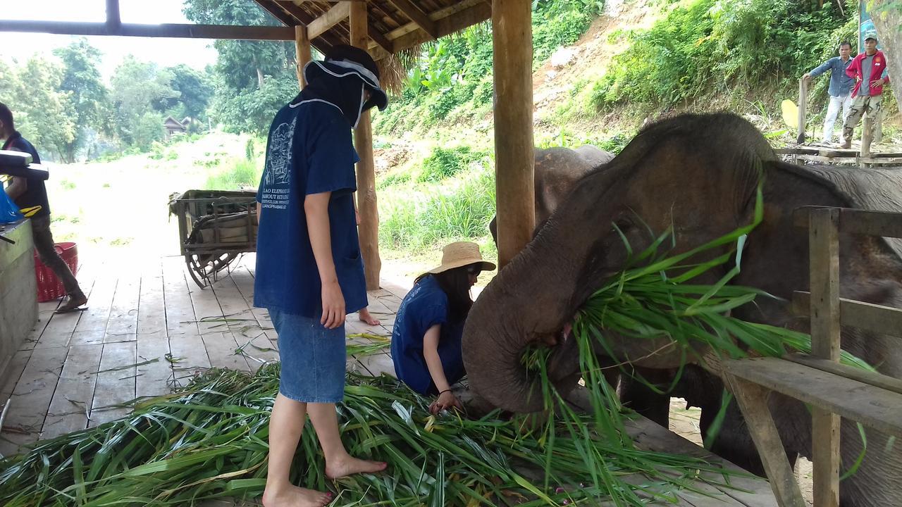 Mahout Hotel Луанг Прабанг Екстериор снимка
